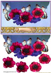 Envelop Anemones