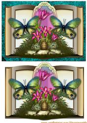 Book Oriental Garden and Butteflies