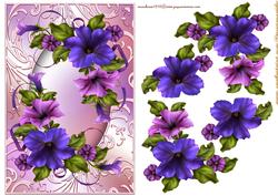 Petunia Beauty