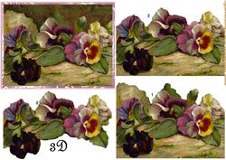 Vintage Pansies 3 D