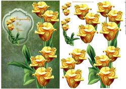 Tulips Beauty