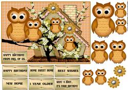 Owl House/new Home/birthday