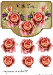 Envelop Classic English Roses