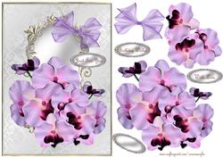 Beautiful Orchids
