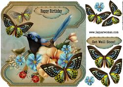 Birthday Male Card Bird and Butterflies