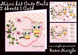 Mini Kit Owls