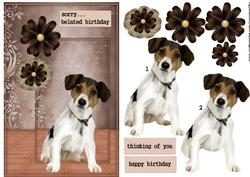 Belated Birthday/other /jack Russel