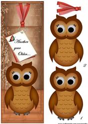 Large Dl Card Wise Owl Birthday