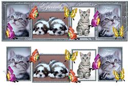 Large Dl Cats and Dogs 1