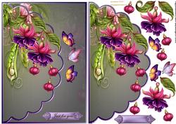 Envelop Fuchsias