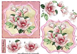 Pink Magnolia Beauty