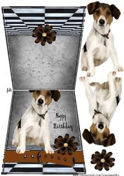 No Hole Fold Back Doggie