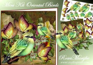 Mini Kit Oriental Birds Male Card