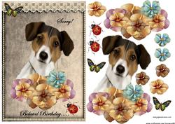 Belated Birthday Jack Russel