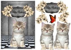 Cute Kitten Birthday Card