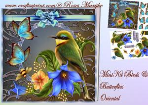 Mini Kit Bird & Butterflies Oriental