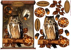 Male Wise Owl Steampunk Card