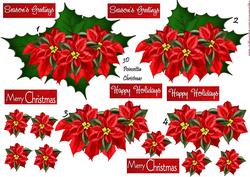 Christmas 3D Poinsettia
