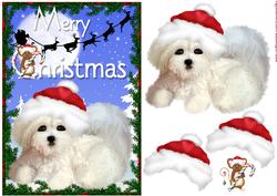 Puppy's Christmas