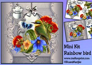 Min Kit Rainbow Bird