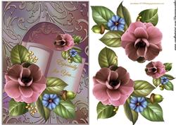 Camelia Beauty