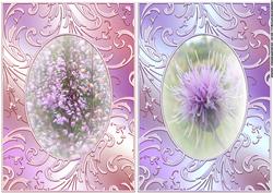 Background Flowers