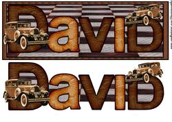 Large Dl Card David