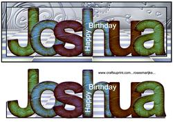 Large Dl Card Joshua