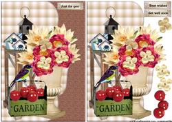 Scallop Garden