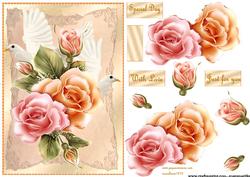 Glowing Roses and White Doves