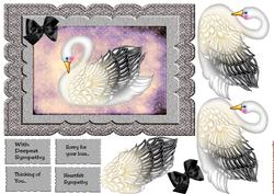 Scallop Sympathy Swan