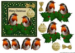 Christmas Robin's in Star Frame