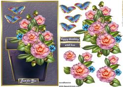 Pink Camelia Glory
