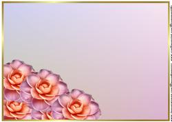A4 Background Pink Camelia's