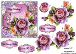 Special English Roses