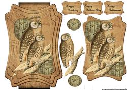 Layered Male Card Topper Owls