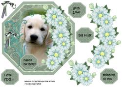 Octagon Puppy Love