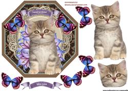 Octagon Cute Kitten