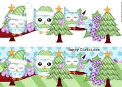 Large Dl Card Christmas Owls