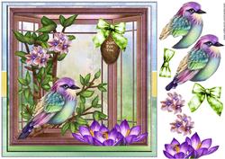 Bay Window Rainbow Bird
