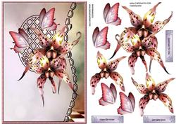Scalloped S Edged Lattice Card Orchids