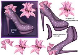 Evening Shoe Special Day