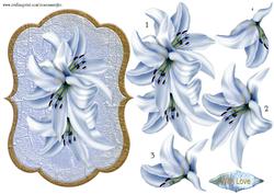 Scallop Topper Vintage Lillies