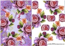 English Roses and Butterflies