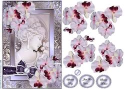 Cameo & Orchids