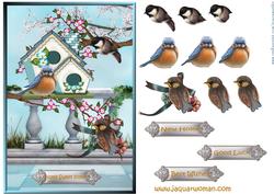 New Home Precious Birds