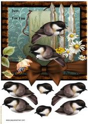 Male Card Bird Song