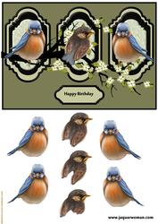 Panels with Birds