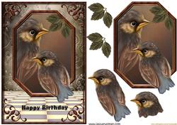 Male Card Birthday Birds