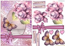 Pink Beauty